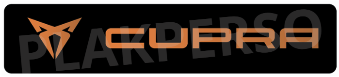 Cache plaque voiture