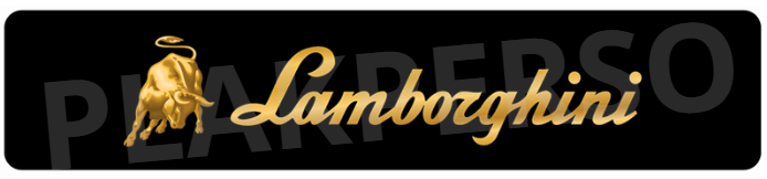 Cache plaque voiture