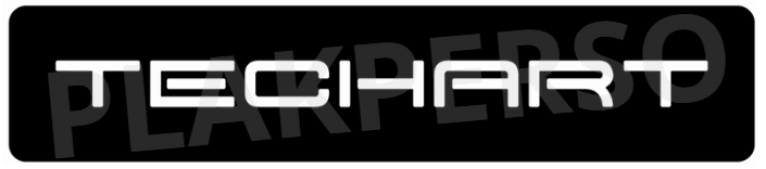 Cache plaque voiture